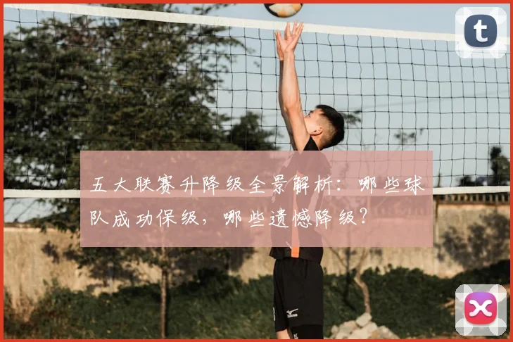 五大联赛升降级全景解析:哪些球队成功保级,哪些遗憾降级?