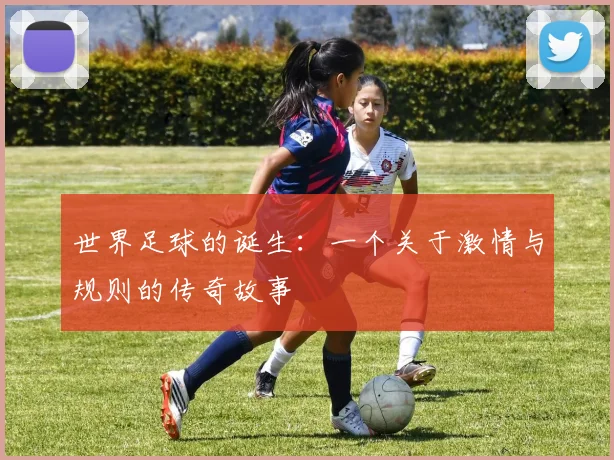 世界足球的诞生:一个关于激情与规则的传奇故事